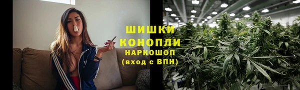 прущие крисы Надым