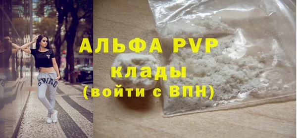 гашик Бежецк