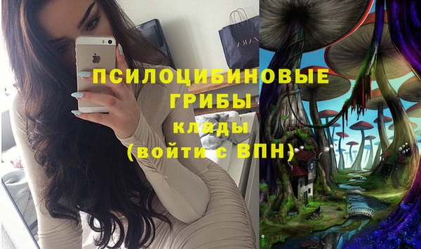 прущий лед Нея