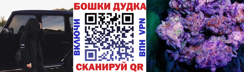 darknet наркотические препараты  Отрадная  Бошки Шишки план 